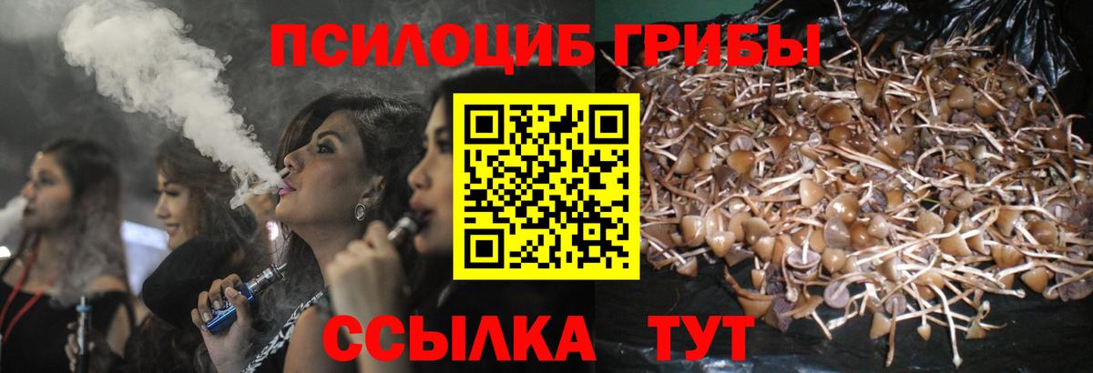 Галлюциногенные грибы Cubensis  Галлюциногенные грибы мухоморы  Семёнов  Вход с VPN 